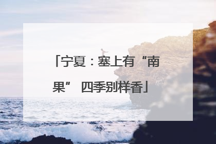 宁夏：塞上有“南果” 四季别样香