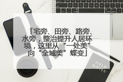 宅旁、田旁、路旁、水旁，整治提升人居环境，这里从“一处美”向“全域美”蝶变