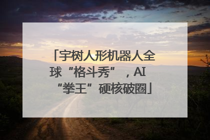 宇树人形机器人全球“格斗秀”，AI“拳王”硬核破圈