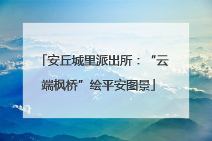 安丘城里派出所：“云端枫桥”绘平安图景
