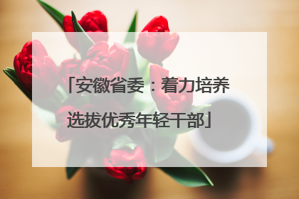 安徽省委：着力培养选拔优秀年轻干部