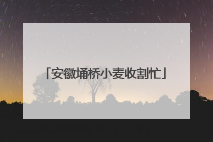 安徽埇桥小麦收割忙