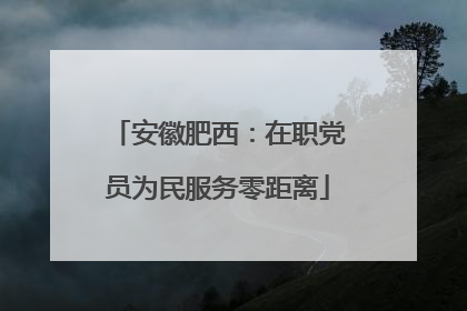 安徽肥西：在职党员为民服务零距离