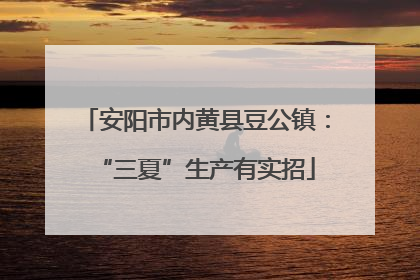 安阳市内黄县豆公镇：“三夏”生产有实招