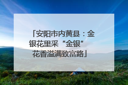 安阳市内黄县：金银花里采“金银” 花香溢满致富路