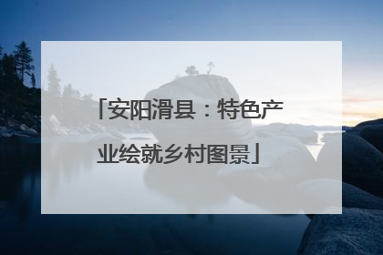 安阳滑县：特色产业绘就乡村图景