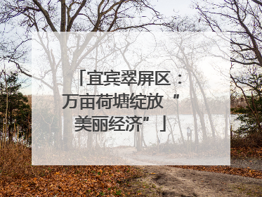 宜宾翠屏区：万亩荷塘绽放“美丽经济”