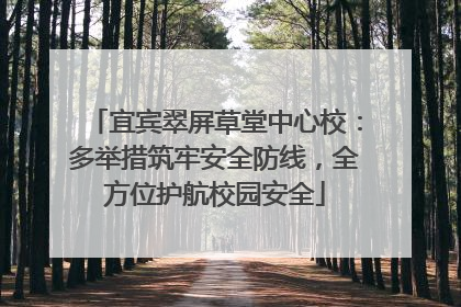 宜宾翠屏草堂中心校：多举措筑牢安全防线，全方位护航校园安全