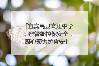 宜宾高县文江中学：严管细控保安全，凝心聚力护食安