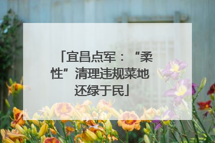 宜昌点军：“柔性”清理违规菜地 还绿于民
