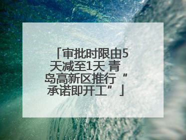 审批时限由5天减至1天 青岛高新区推行“承诺即开工”