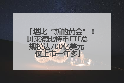 堪比“新的黄金”！贝莱德比特币ETF总规模达700亿美元 仅上市一年多