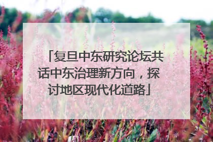 复旦中东研究论坛共话中东治理新方向，探讨地区现代化道路
