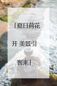 夏日荷花开 美景引客来
