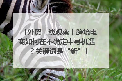 外贸一线观察丨跨境电商如何在不确定中寻机遇？关键词是“新”