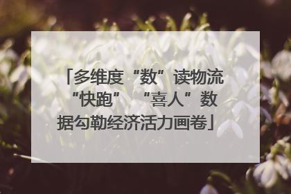 多维度“数”读物流“快跑” “喜人”数据勾勒经济活力画卷