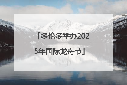 多伦多举办2025年国际龙舟节