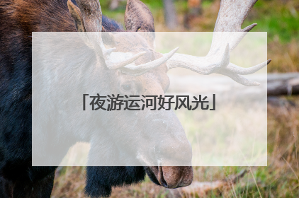 夜游运河好风光