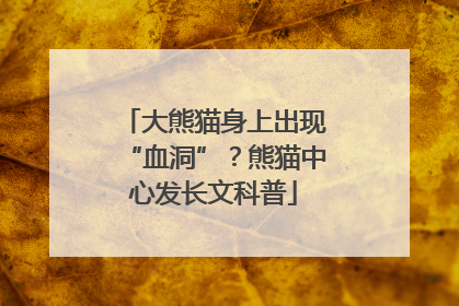大熊猫身上出现“血洞”？熊猫中心发长文科普