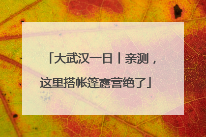 大武汉一日丨亲测，这里搭帐篷露营绝了