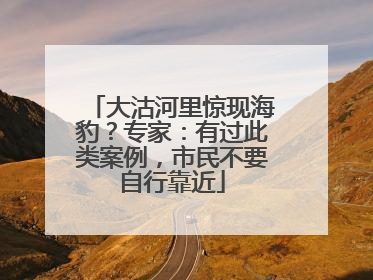 大沽河里惊现海豹？专家：有过此类案例，市民不要自行靠近