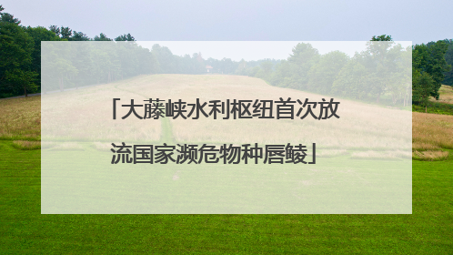 大藤峡水利枢纽首次放流国家濒危物种唇鲮