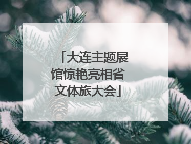 大连主题展馆惊艳亮相省文体旅大会