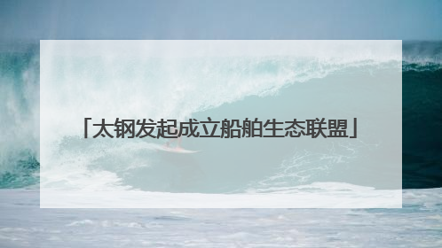 太钢发起成立船舶生态联盟