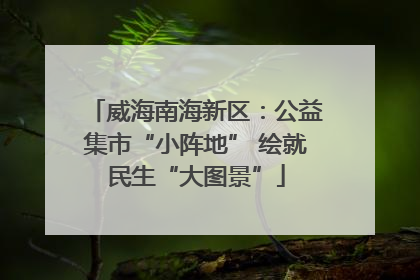 威海南海新区：公益集市“小阵地” 绘就民生“大图景”