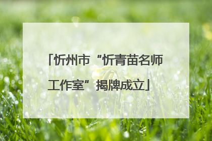 忻州市“忻青苗名师工作室”揭牌成立