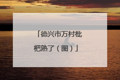 德兴市万村枇杷熟了（图）