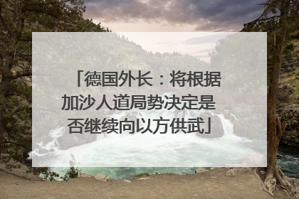德国外长：将根据加沙人道局势决定是否继续向以方供武