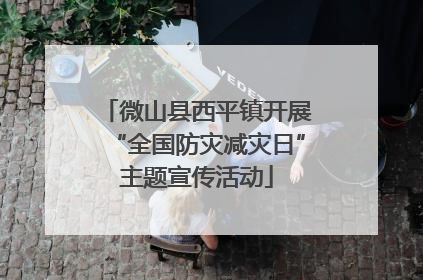 微山县西平镇开展“全国防灾减灾日”主题宣传活动