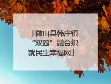 微山县韩庄镇“双圈”融合织就民生幸福网