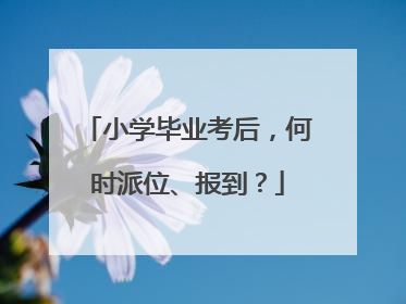 小学毕业考后，何时派位、报到？