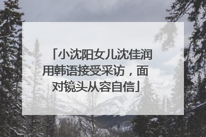 小沈阳女儿沈佳润用韩语接受采访，面对镜头从容自信