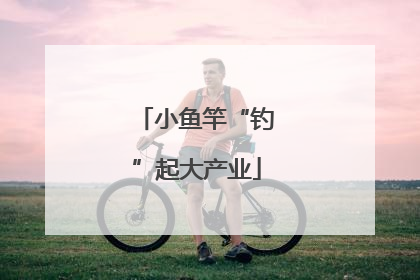 小鱼竿“钓”起大产业