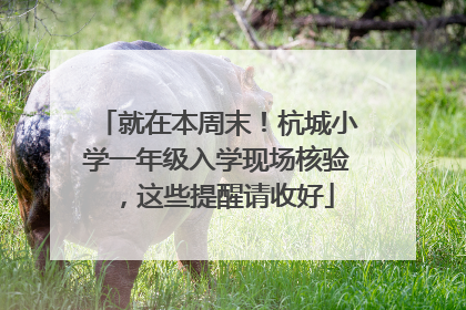 就在本周末！杭城小学一年级入学现场核验，这些提醒请收好