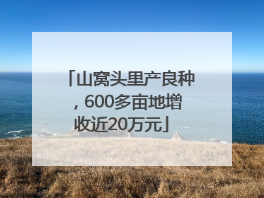 山窝头里产良种，600多亩地增收近20万元