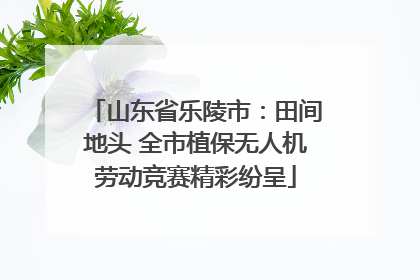 山东省乐陵市：田间地头 全市植保无人机劳动竞赛精彩纷呈