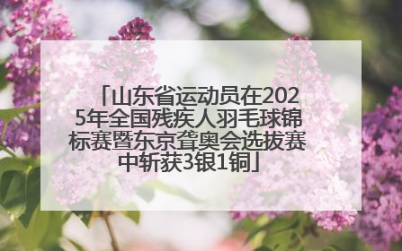 山东省运动员在2025年全国残疾人羽毛球锦标赛暨东京聋奥会选拔赛中斩获3银1铜