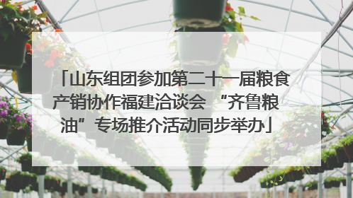 山东组团参加第二十一届粮食产销协作福建洽谈会 “齐鲁粮油”专场推介活动同步举办