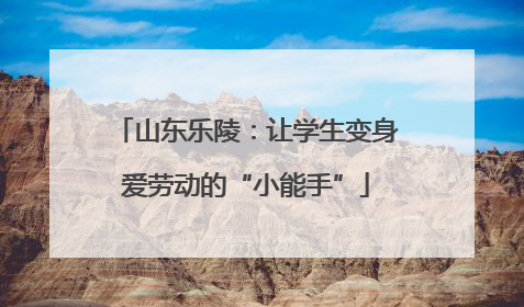 山东乐陵：让学生变身爱劳动的“小能手”
