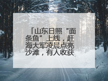 山东日照“面条鱼”上线，赶海大军凌晨点亮沙滩，有人收获满满一桶鱼