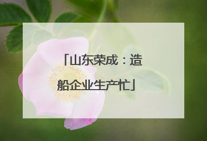 山东荣成：造船企业生产忙