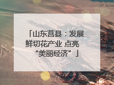山东莒县：发展鲜切花产业 点亮“美丽经济”