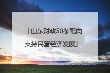 山东财政50条靶向支持民营经济发展