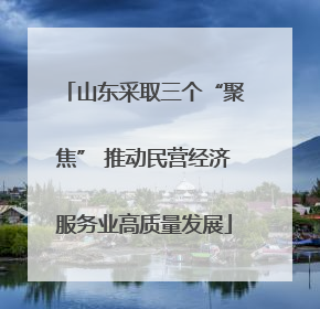 山东采取三个“聚焦” 推动民营经济服务业高质量发展