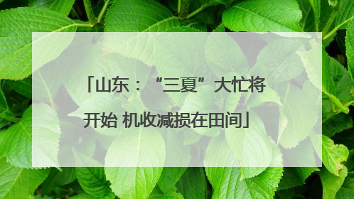 山东：“三夏”大忙将开始 机收减损在田间