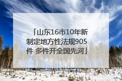 山东16市10年新制定地方性法规905件 多件开全国先河